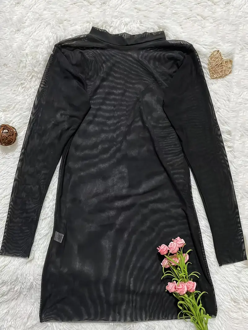 Sexy Sheer Long Sleeve Mesh Dress