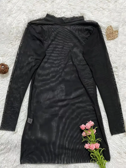 Sexy Sheer Long Sleeve Mesh Dress